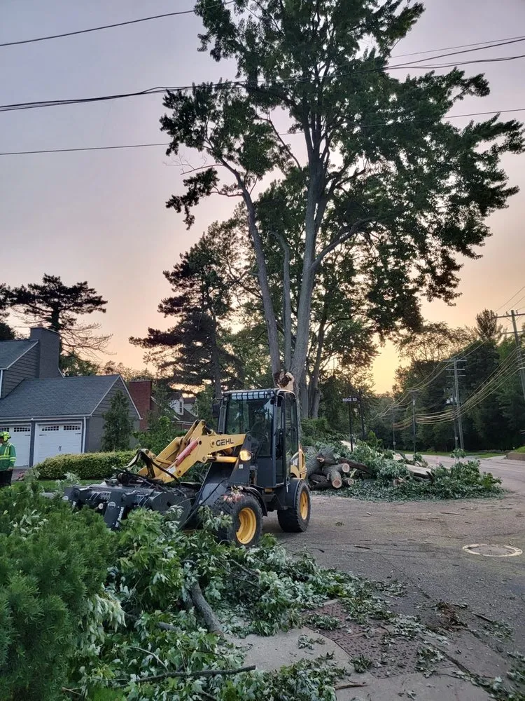 Expert garden landscaping with custom design in Warren, MI by Metro Detroit Tree and Firewood