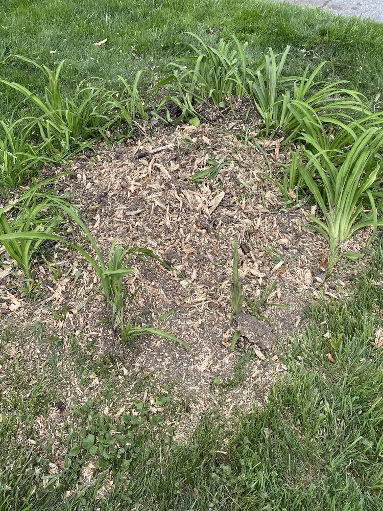 Reliable landscaping services with custom design across Warren, MI - Metro Detroit Tree and Firewood