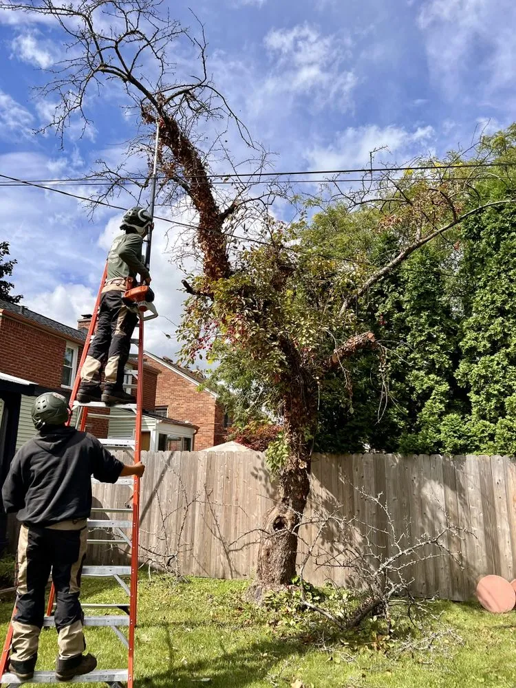 Expert garden landscaping in Warren, MI by Metro Detroit Tree and Firewood