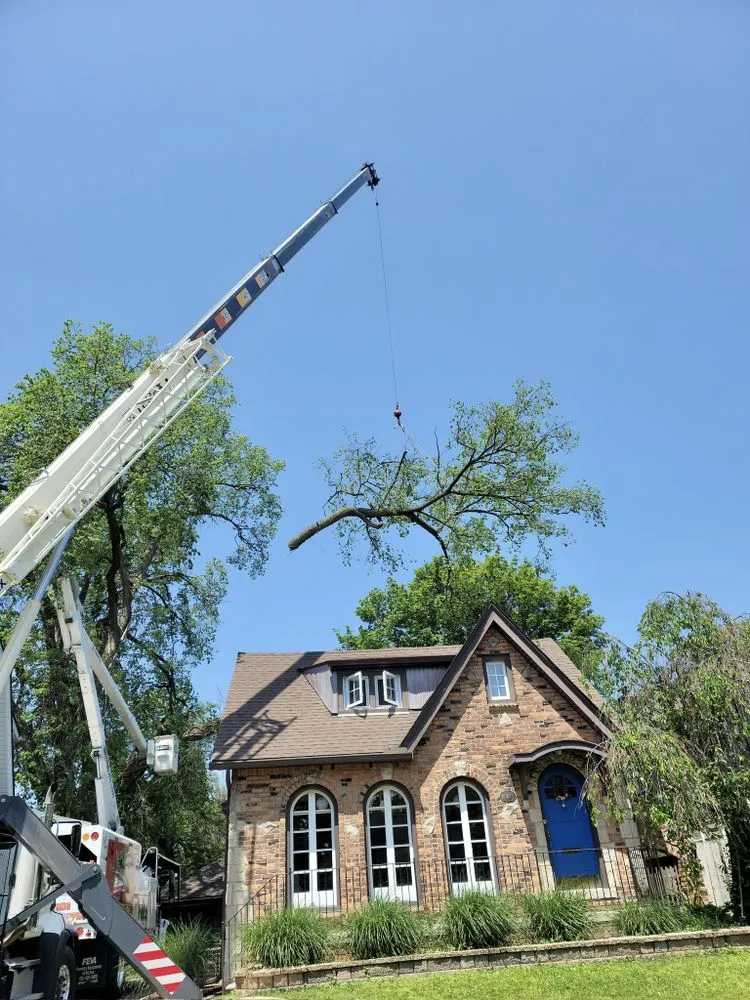 Local lawn mowing service near you across Warren, MI - Metro Detroit Tree and Firewood