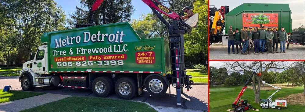 Local residential landscaping in Warren, MI - Metro Detroit Tree and Firewood
