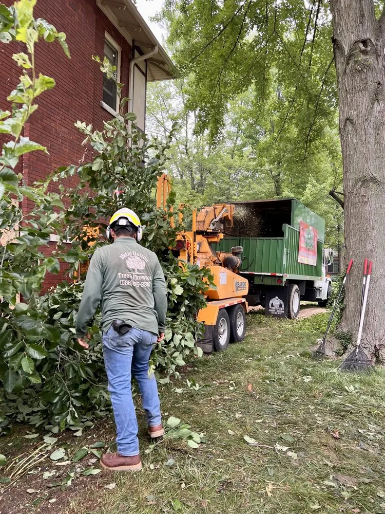 Trusted landscape design for residential properties across Warren, MI - Metro Detroit Tree and Firewood