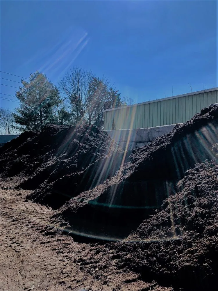 Top-rated yard cleanup service for beautiful yards across Clarksburg, MD - Metro Ground Covers