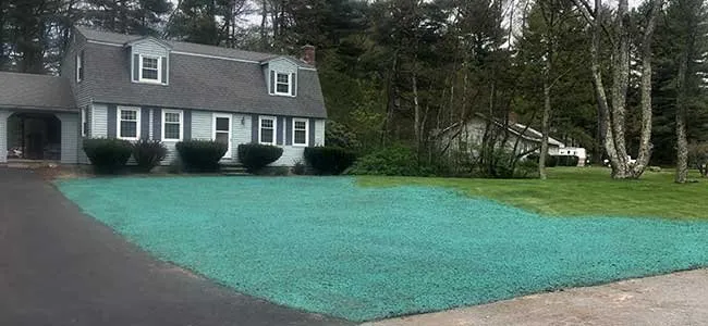 Local lawn mowing service in St Helen, MI by Metro Hydroseeding of Northern Michigan
