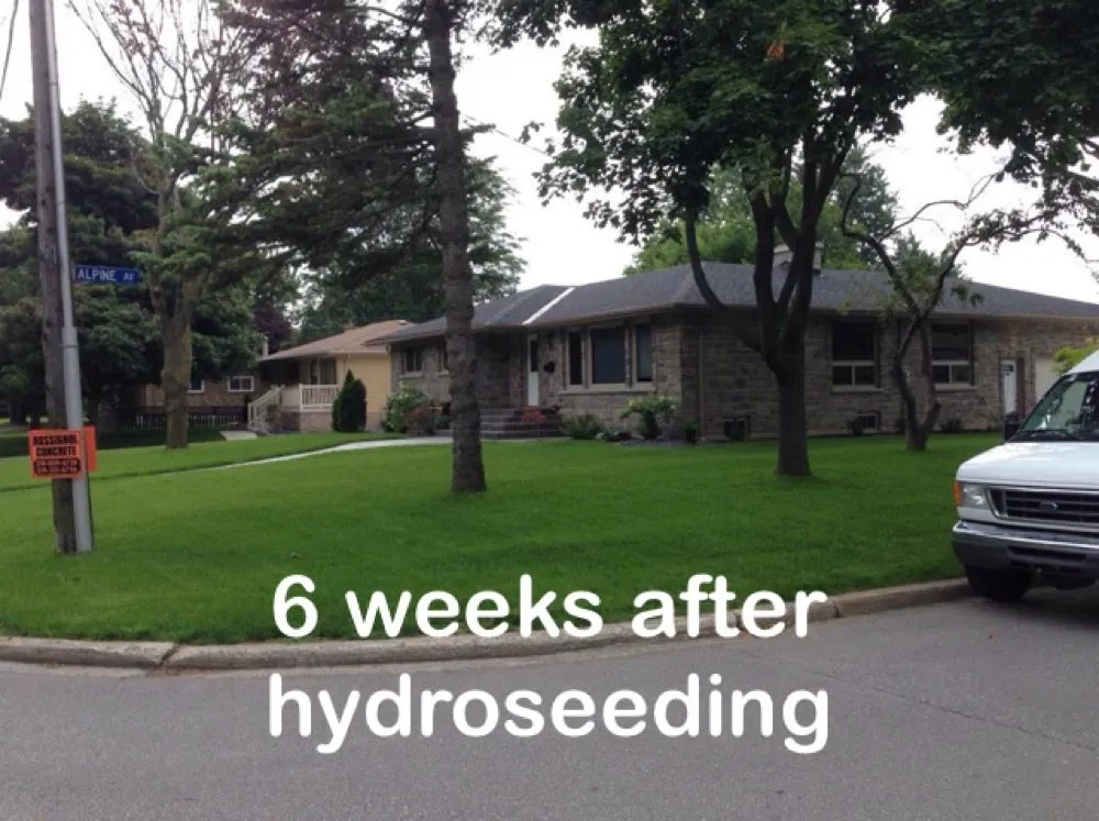 Affordable landscape installation in St Helen, MI - Metro Hydroseeding of Northern Michigan