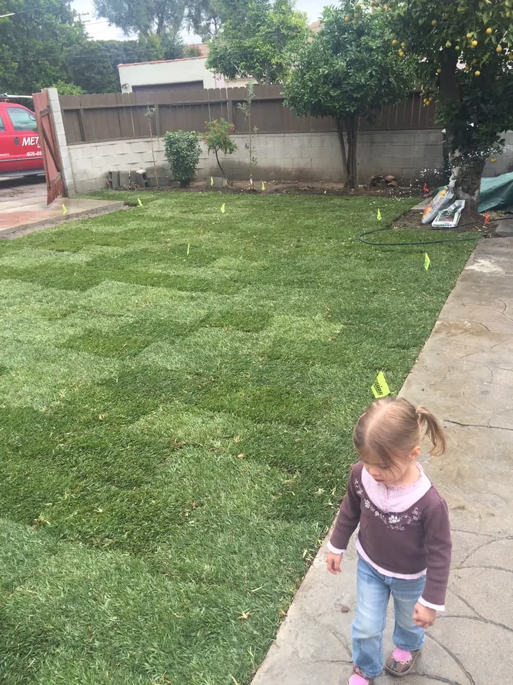 Trusted landscape design in Simi Valley, CA by Metro Landscape