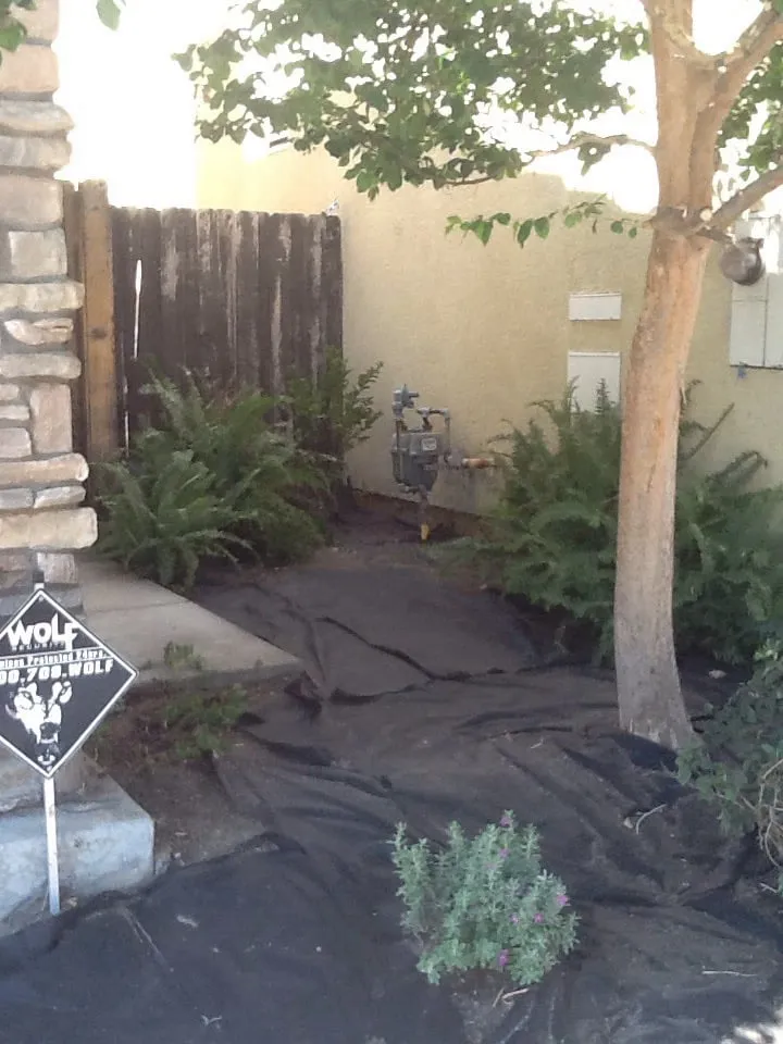 Top-rated garden landscaping experts serving Simi Valley, CA - Metro Landscape