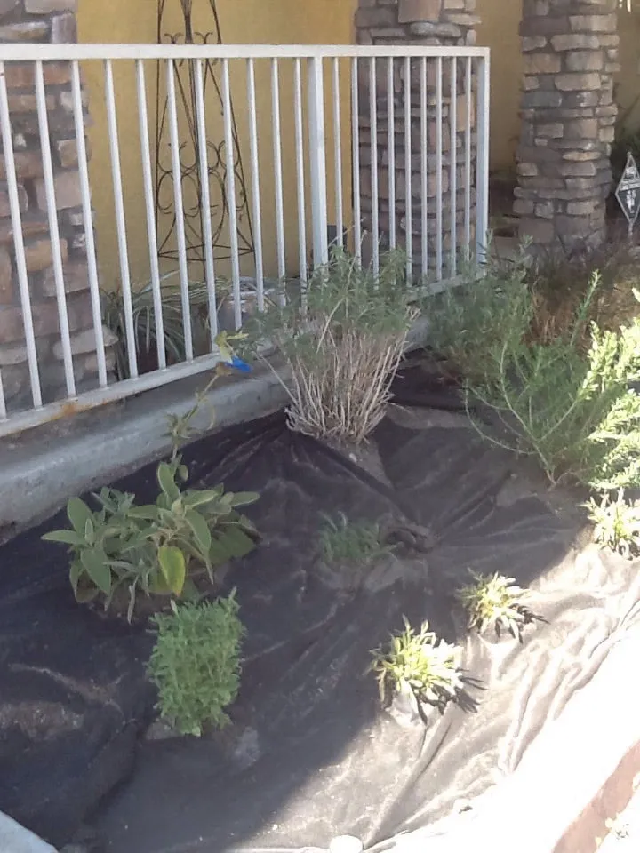 Custom landscape installation for residential properties across Simi Valley, CA - Metro Landscape