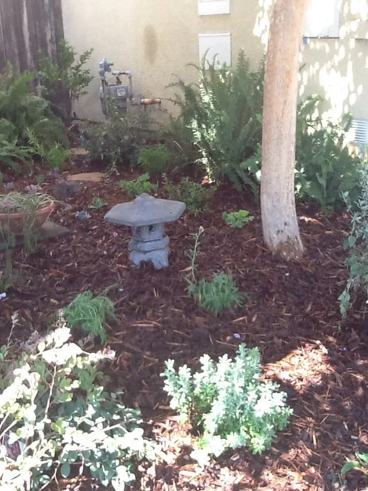 Custom lawn care service for residential properties across Simi Valley, CA - Metro Landscape