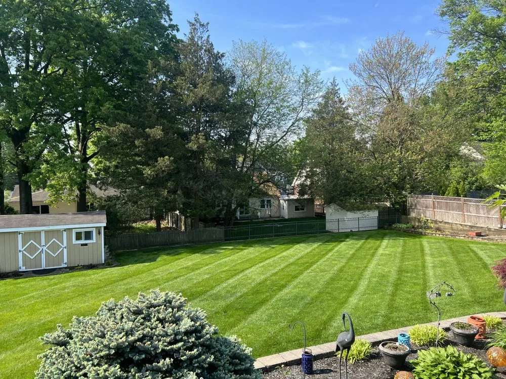 Trusted yard cleanup service in Clark, NJ - Metro Landscaping NJ