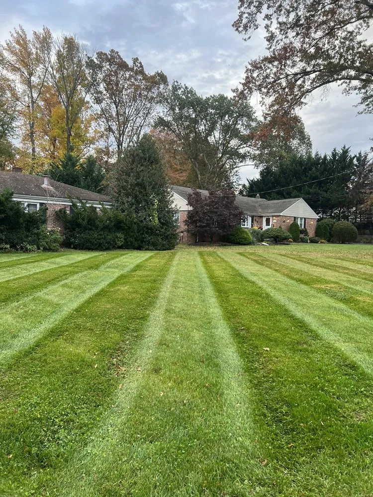 Local yard cleanup service experts serving Clark, NJ - Metro Landscaping NJ