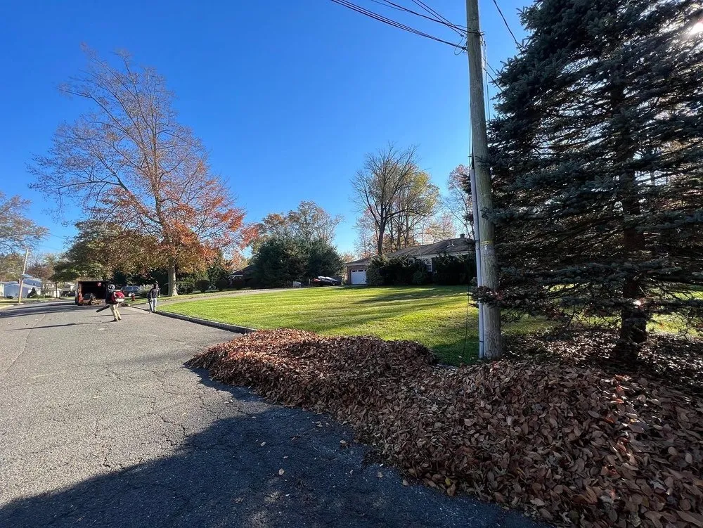 Trusted lawn care service near you in Clark, NJ by Metro Landscaping NJ