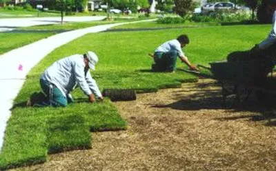 Expert lawn care service for residential properties across Warren, MI - Metro Lawn & Snow Service