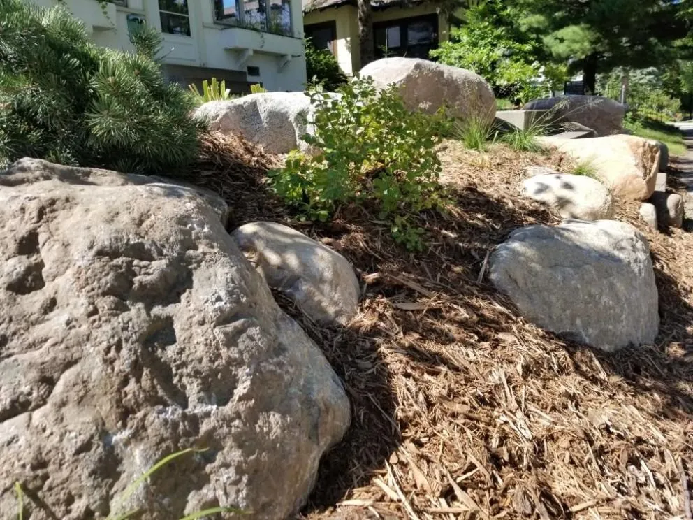 Professional lawn mowing service for year-round maintenance in Minneapolis, MN by Metro Lawn Rehab