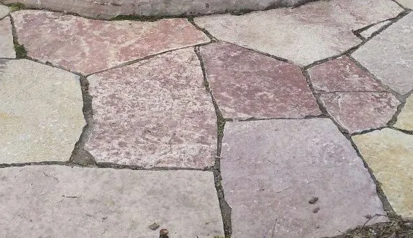 Expert yard cleanup service in Minneapolis, MN - Metro Lawn Rehab