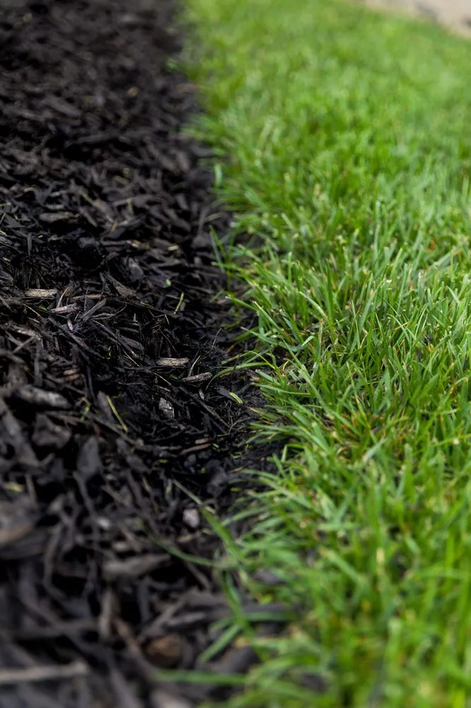 Trusted lawn care service in Saint Peters, MO - Metro Lawn Sprinklers & Landscapes