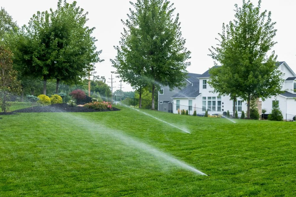 Top-rated yard maintenance in Saint Peters, MO - Metro Lawn Sprinklers & Landscapes