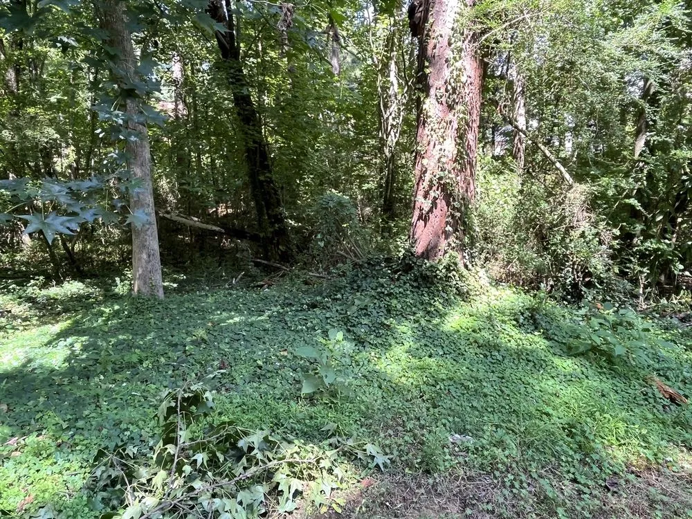 Expert lawn care service for residential properties across Tucker, GA - Metro Lawns