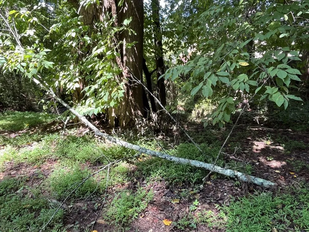 Custom lawn mowing service for homes across Tucker, GA - Metro Lawns