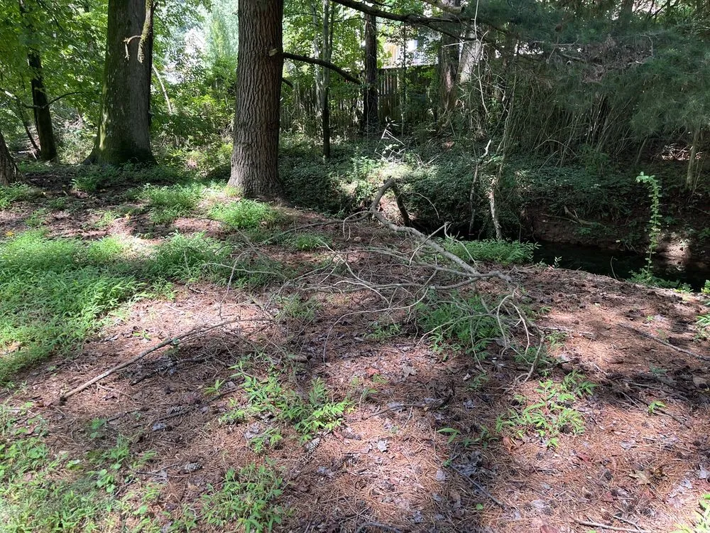 Trusted landscaping services in Tucker, GA by Metro Lawns