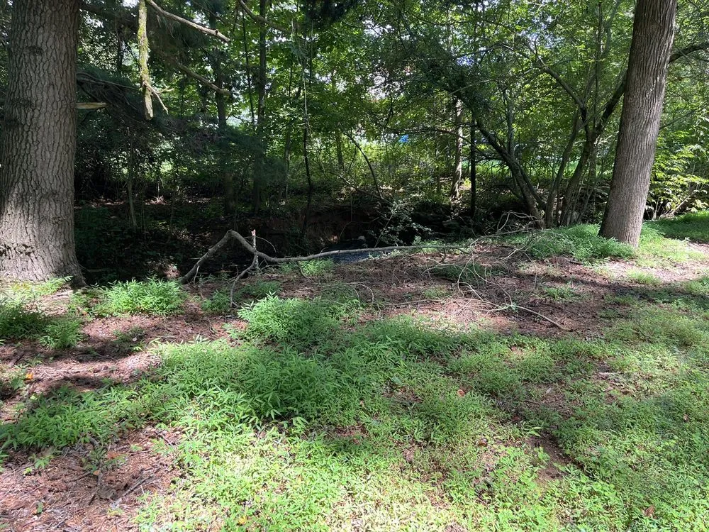 Affordable garden landscaping experts serving Tucker, GA - Metro Lawns