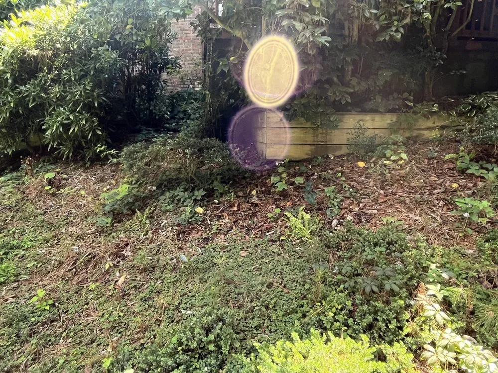 Local yard cleanup service for outdoor upgrades across Tucker, GA - Metro Lawns