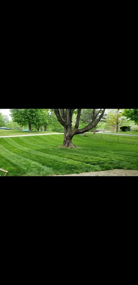 Trusted landscape installation experts serving Avon, IN - Metro Mow Crew