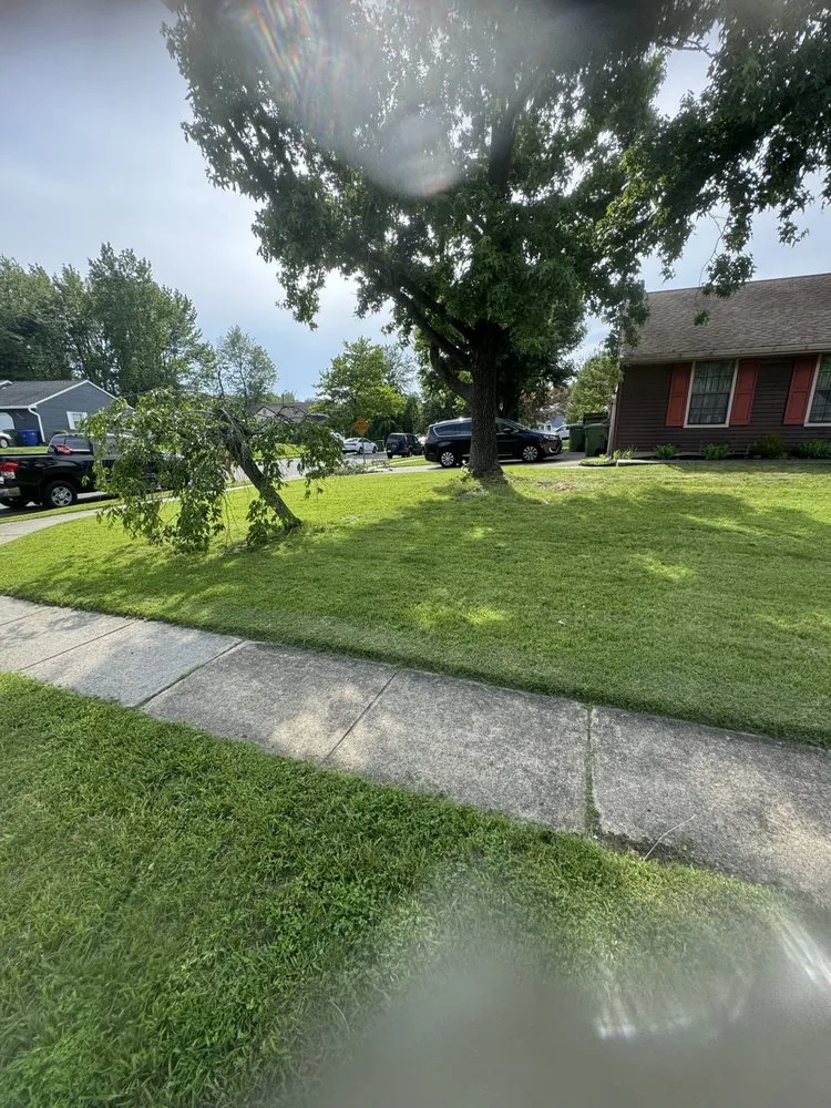 Trusted yard maintenance in Mount Laurel, NJ - Metro-Mowers