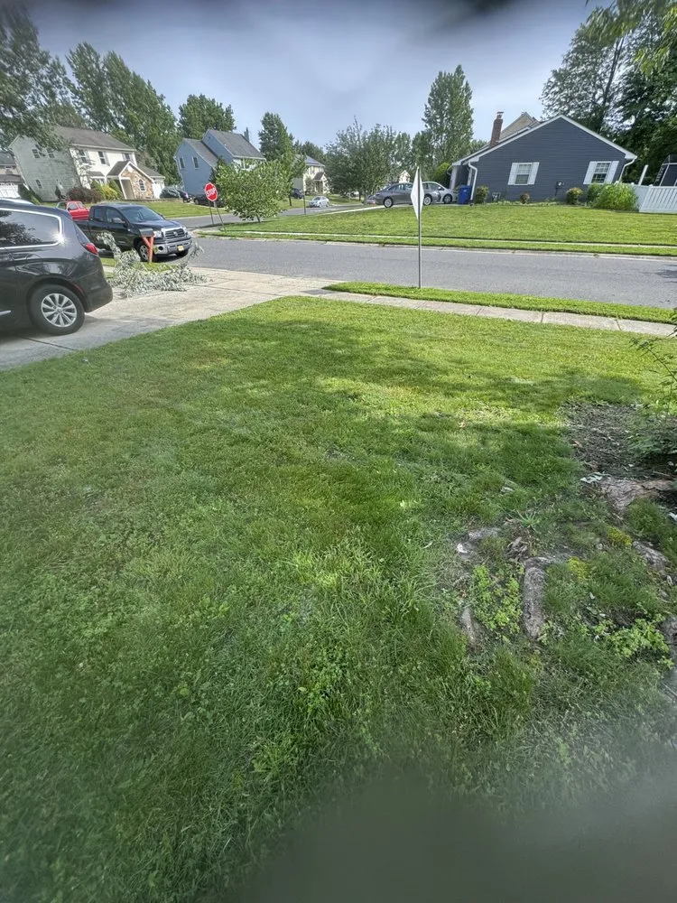 Trusted lawn care service in Mount Laurel, NJ - Metro-Mowers