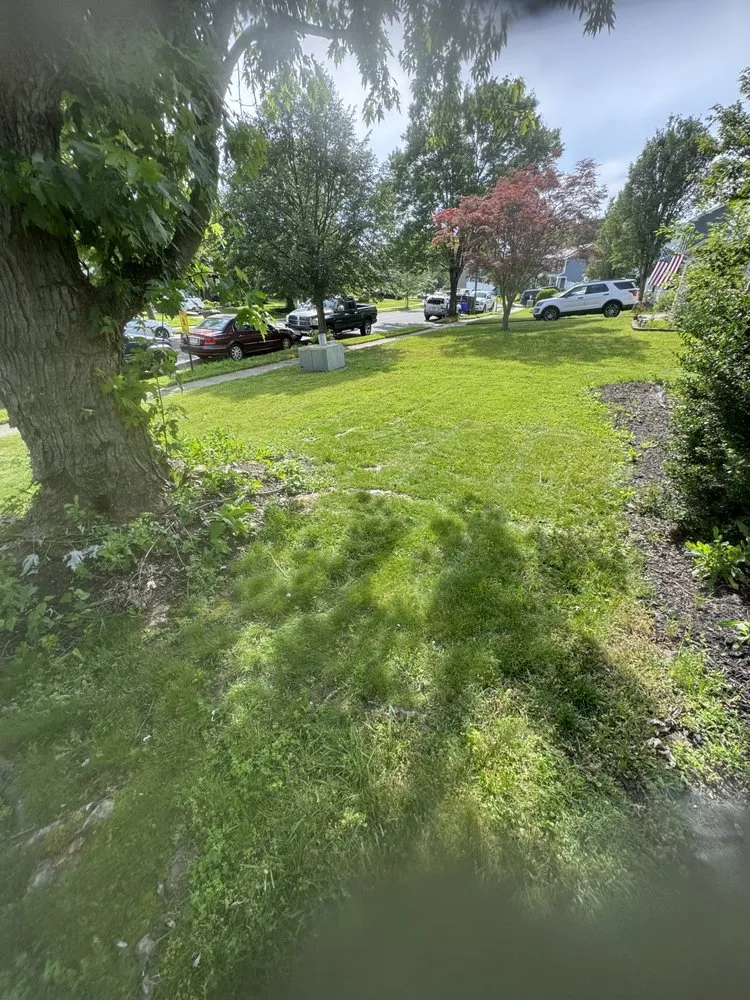 Custom landscaping services in Mount Laurel, NJ by Metro-Mowers