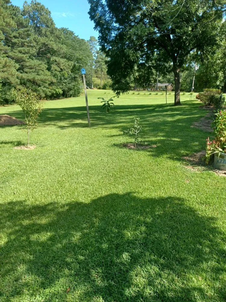 Top-rated lawn mowing service for homes in Sanford, NC by Metro Mowing NC