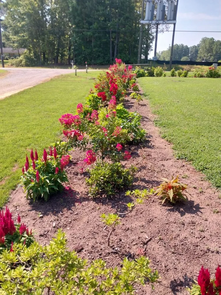 Expert yard cleanup service experts serving Sanford, NC - Metro Mowing NC