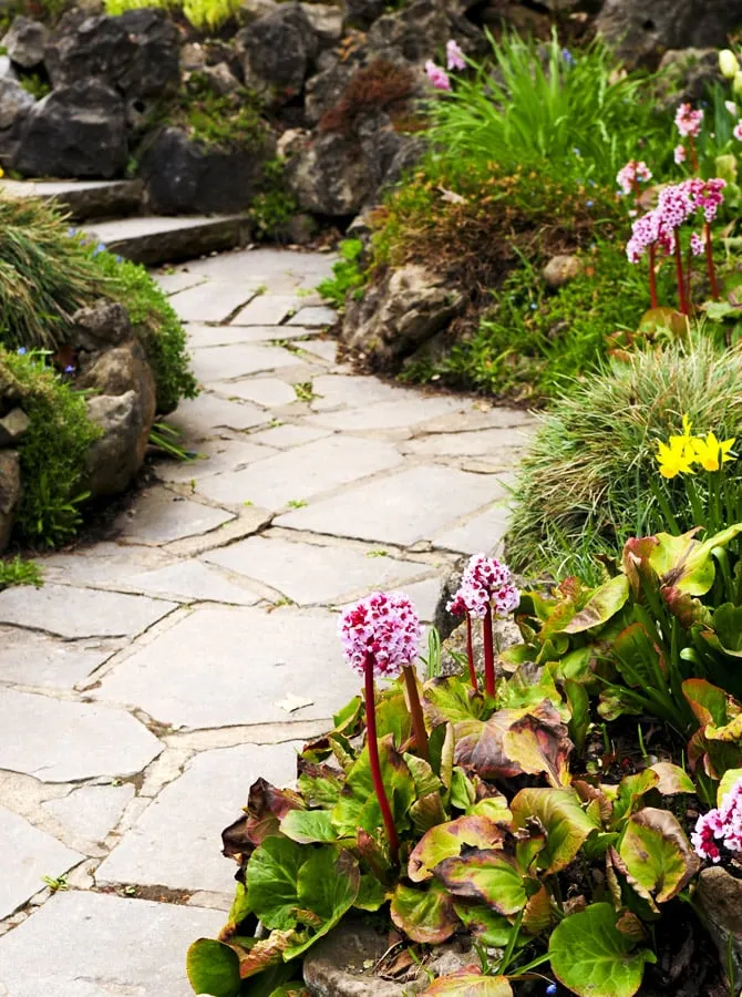 Professional lawn mowing service in Marietta, GA by Metro North Landscapes