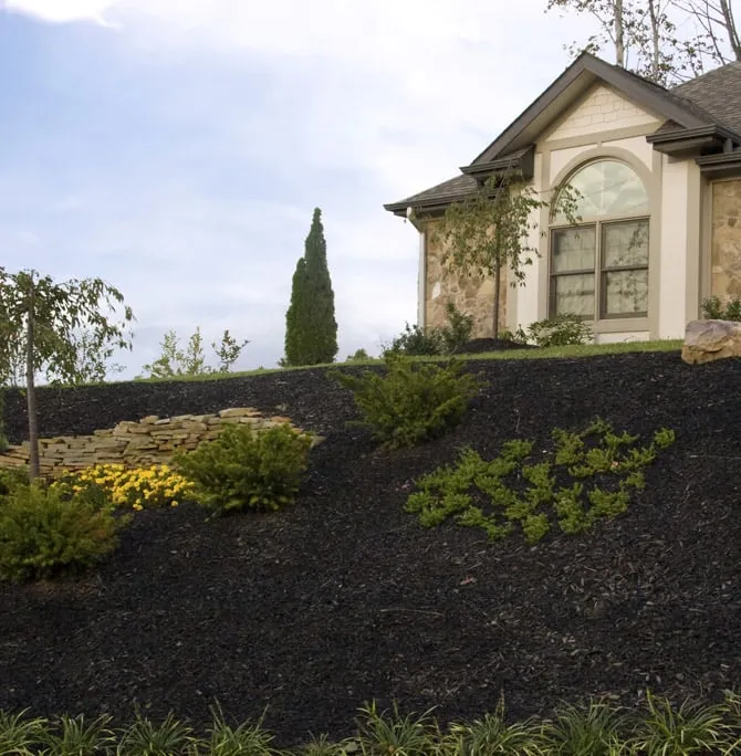 Affordable landscape design for beautiful yards across Marietta, GA - Metro North Landscapes