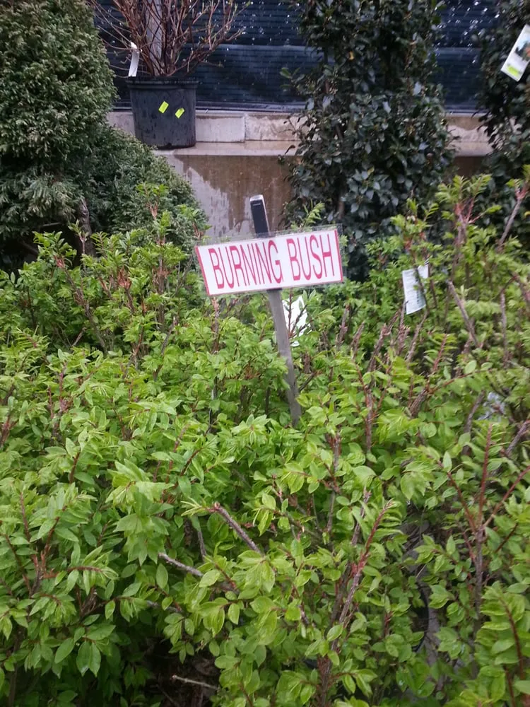 Expert landscaping services for homes across Fort Lee, NJ - Metro Plant Exchange