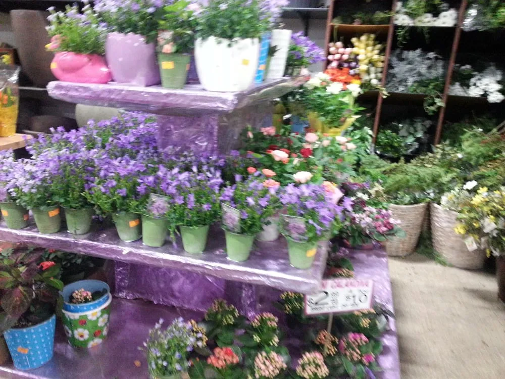 Trusted outdoor landscaping in Fort Lee, NJ - Metro Plant Exchange