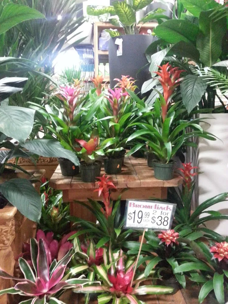 Trusted residential landscaping for homes in Fort Lee, NJ by Metro Plant Exchange