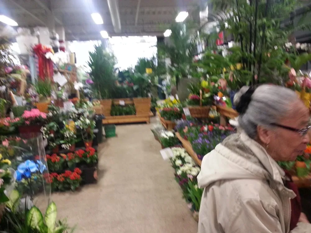 Professional garden landscaping in Fort Lee, NJ - Metro Plant Exchange