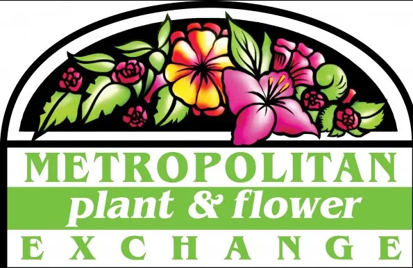 Custom landscape design in Fort Lee, NJ by Metro Plant Exchange