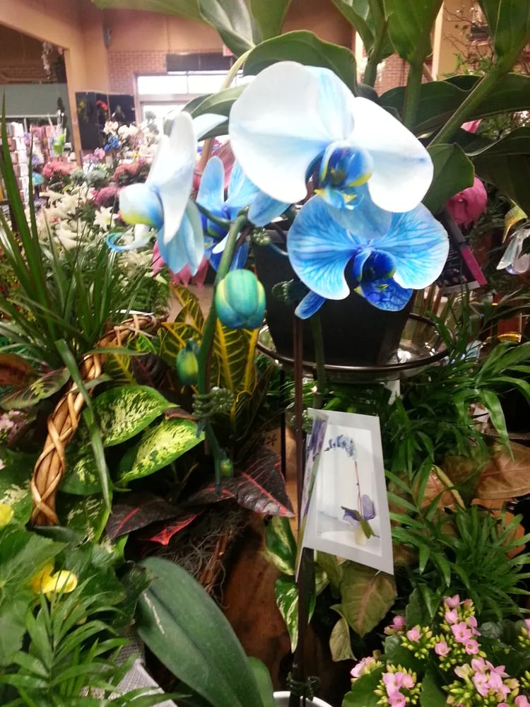 Top-rated lawn mowing service with custom design in Fort Lee, NJ by Metro Plant Exchange