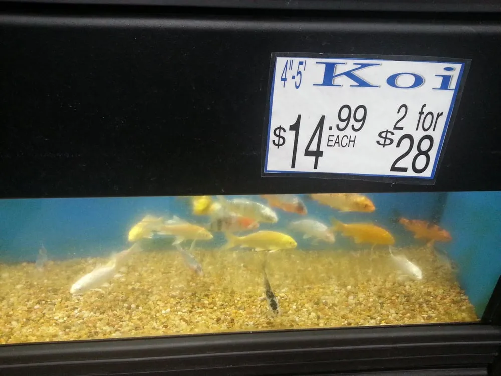 Local lawn mowing service for year-round maintenance in Fort Lee, NJ by Metro Plant Exchange