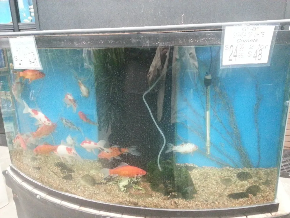 Trusted garden landscaping with custom design in Fort Lee, NJ by Metro Plant Exchange