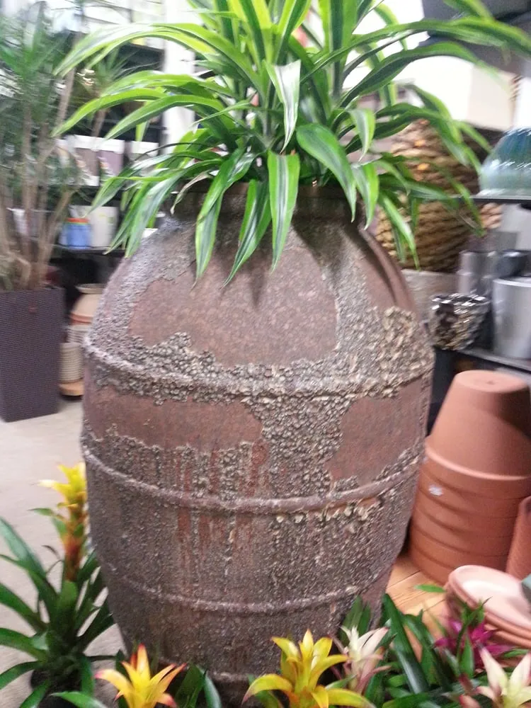 Expert landscaping services experts serving Fort Lee, NJ - Metro Plant Exchange