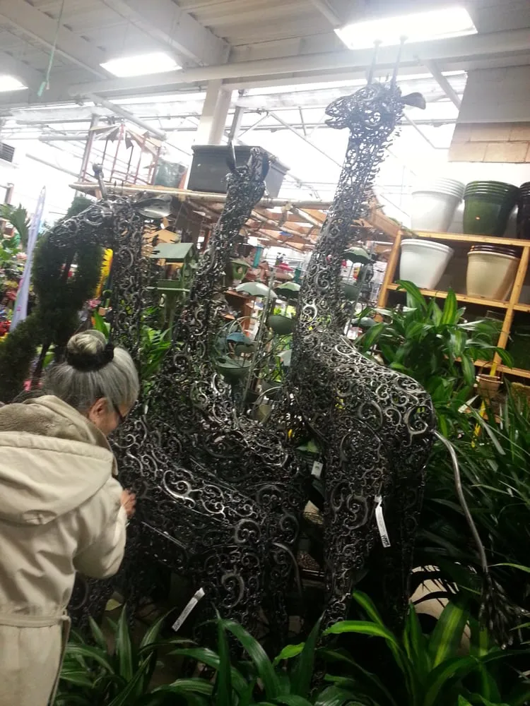 Reliable yard maintenance in Fort Lee, NJ - Metro Plant Exchange