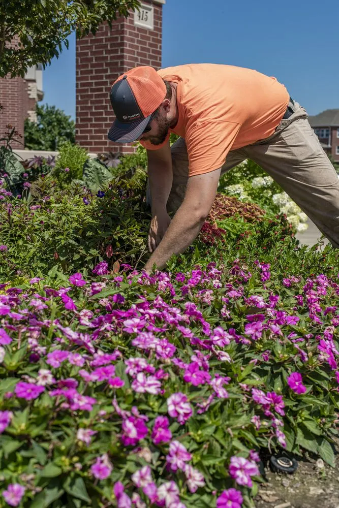 Top-rated yard cleanup service for homes in Columbia, MO by Metro Services Groups