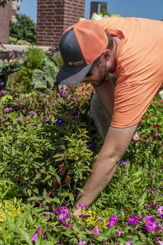 Custom yard maintenance experts serving Columbia, MO - Metro Services Groups