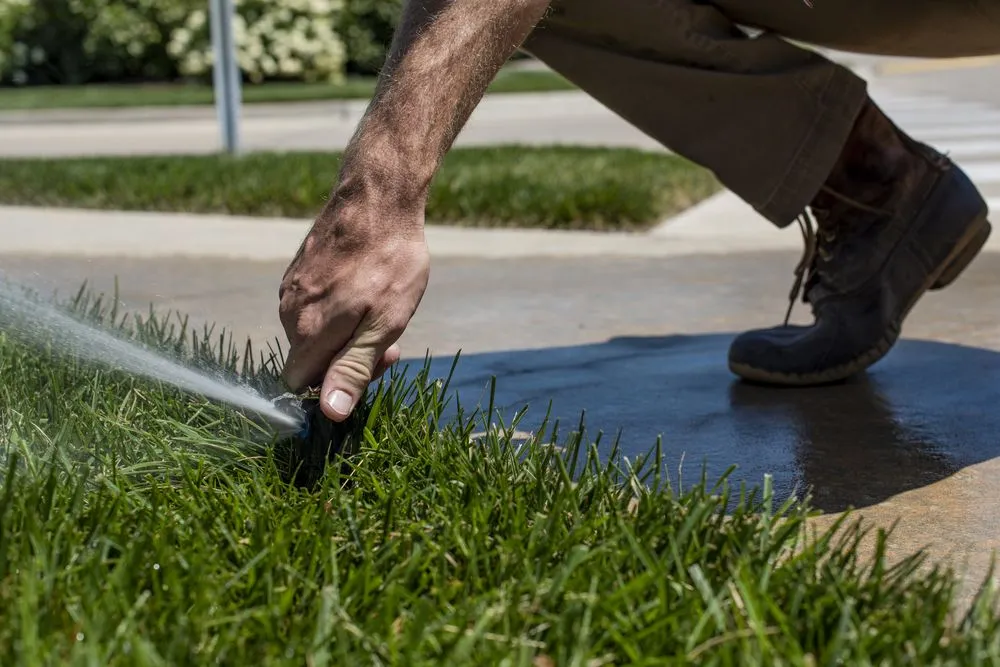 Local yard cleanup service in Columbia, MO by Metro Services Groups