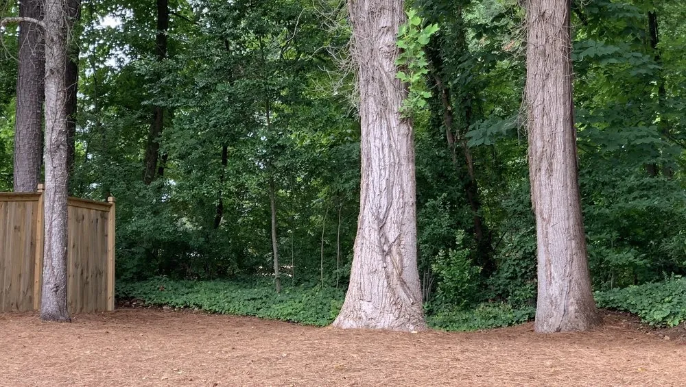 Top-rated landscaping services with custom design in Alpharetta, GA by Metro Straw