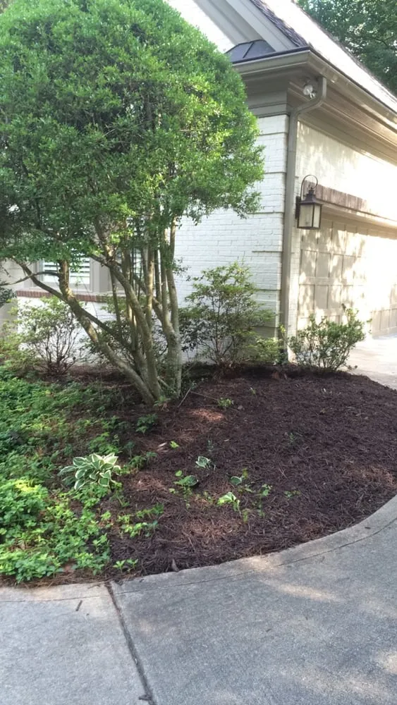 Custom outdoor landscaping in Alpharetta, GA - Metro Straw