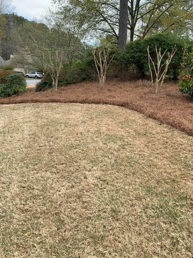 Top-rated landscape installation for year-round maintenance in Alpharetta, GA by Metro Straw
